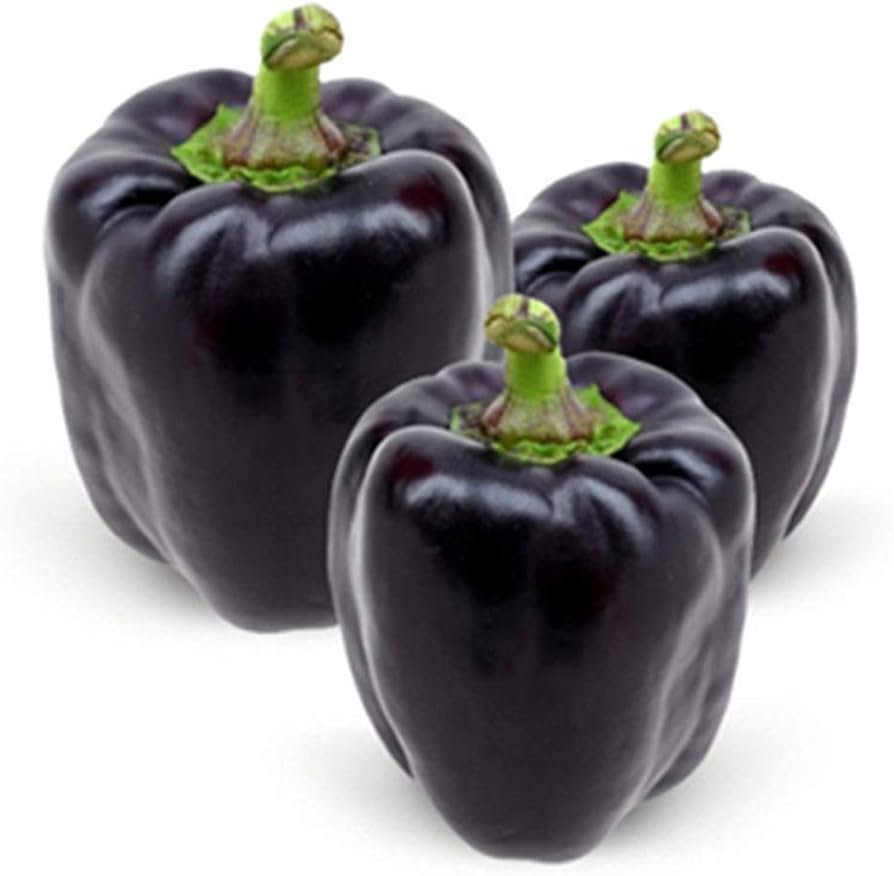 Sweet Chocolate Bell Pepper
