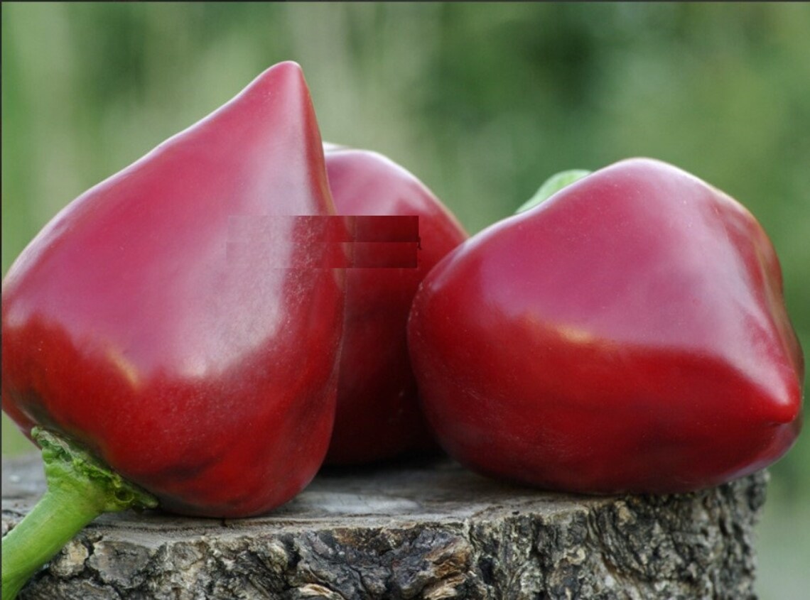 Red Sweet Gnome Hat Peppers