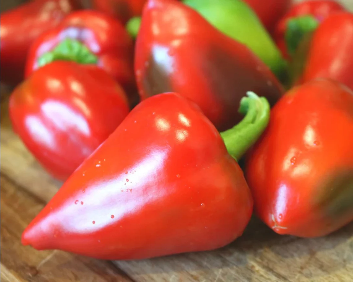 Red Sweet Gnome Hat Peppers