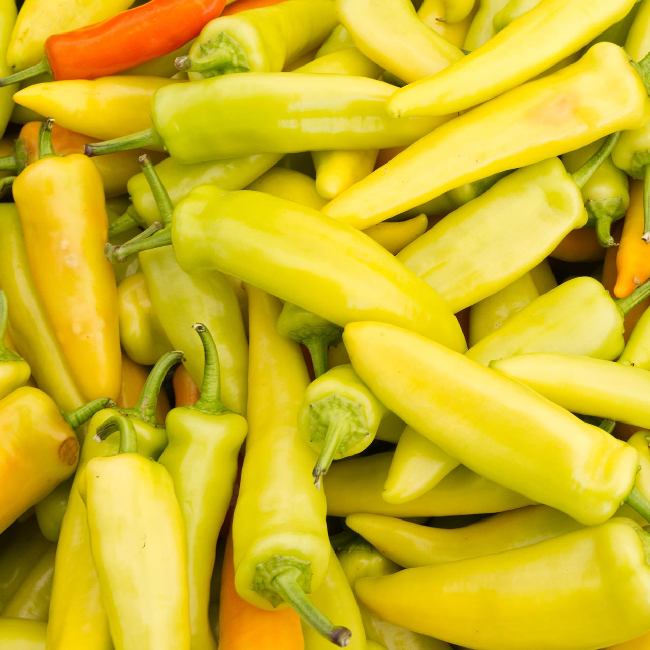 Banana Sweet Pepper - Hungarian Yellow Pepper