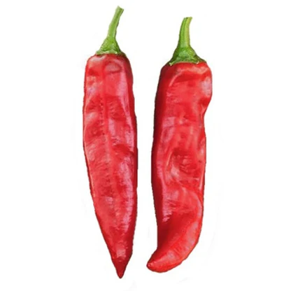 Red Paprika Pepper