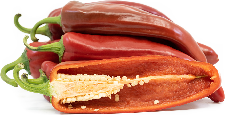 Red Anaheim Chili Pepper