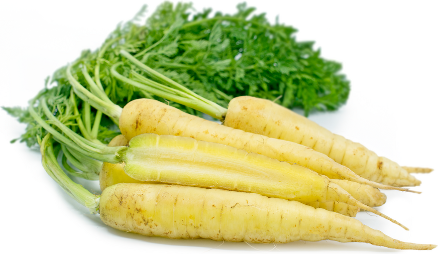 Yellow Carrots