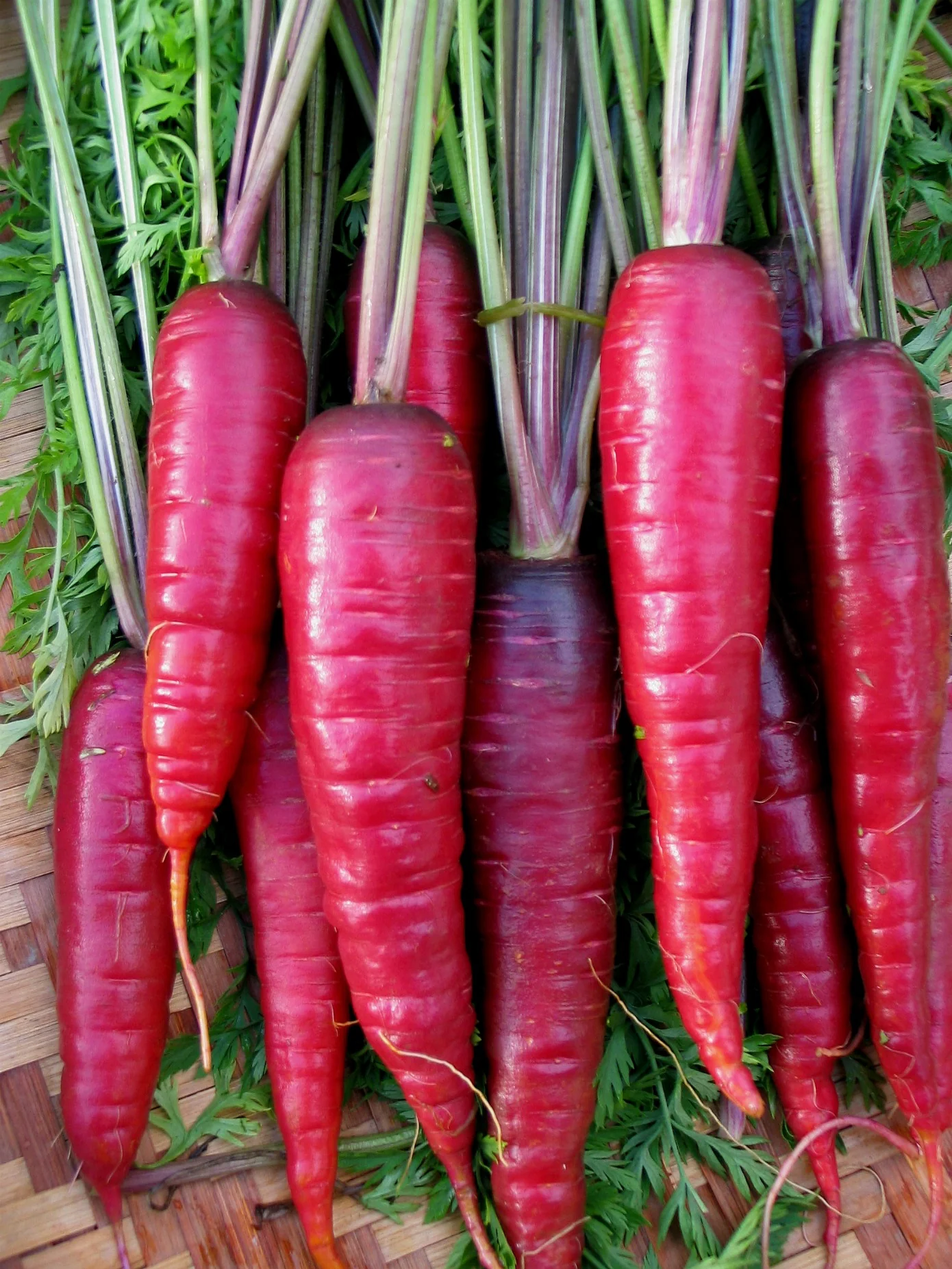 Purple Carrots