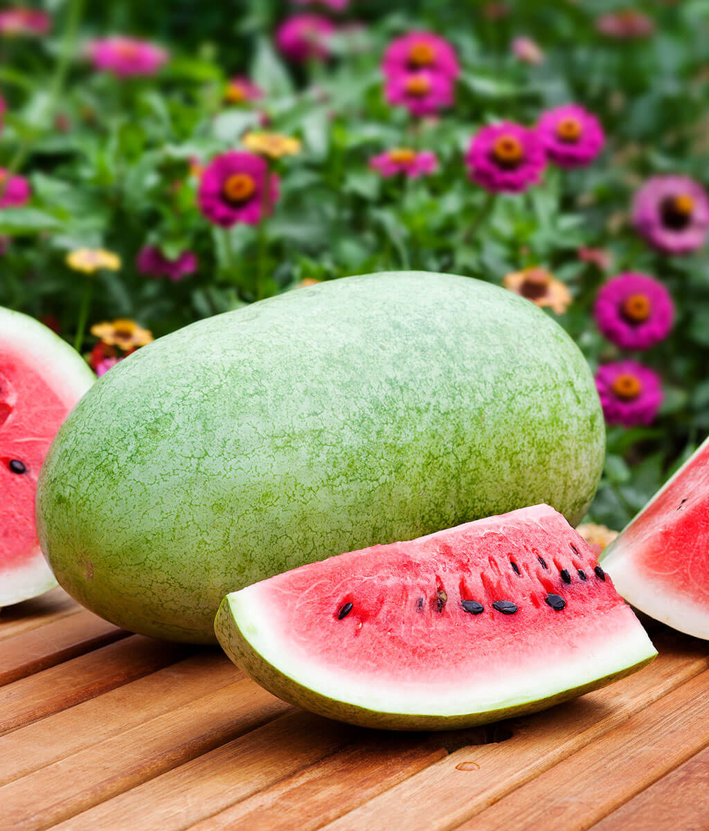 Fresh Charleston Gray Watermelon