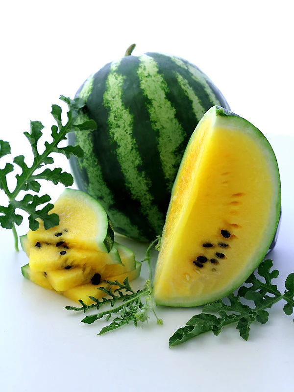 Yellow Watermelon (Janosik Watermelon)