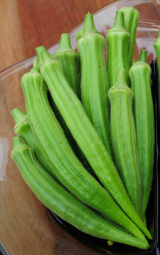 Perkins Long Pod  Okra