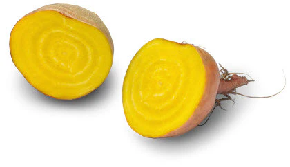 Golden Beetroot