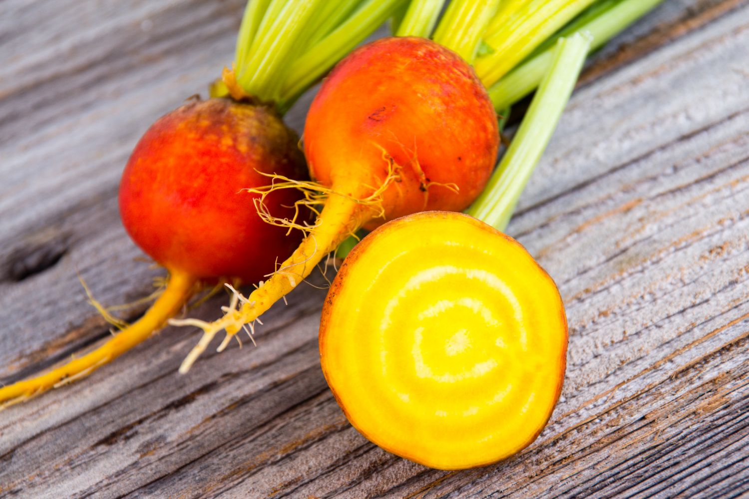 Golden Beetroot