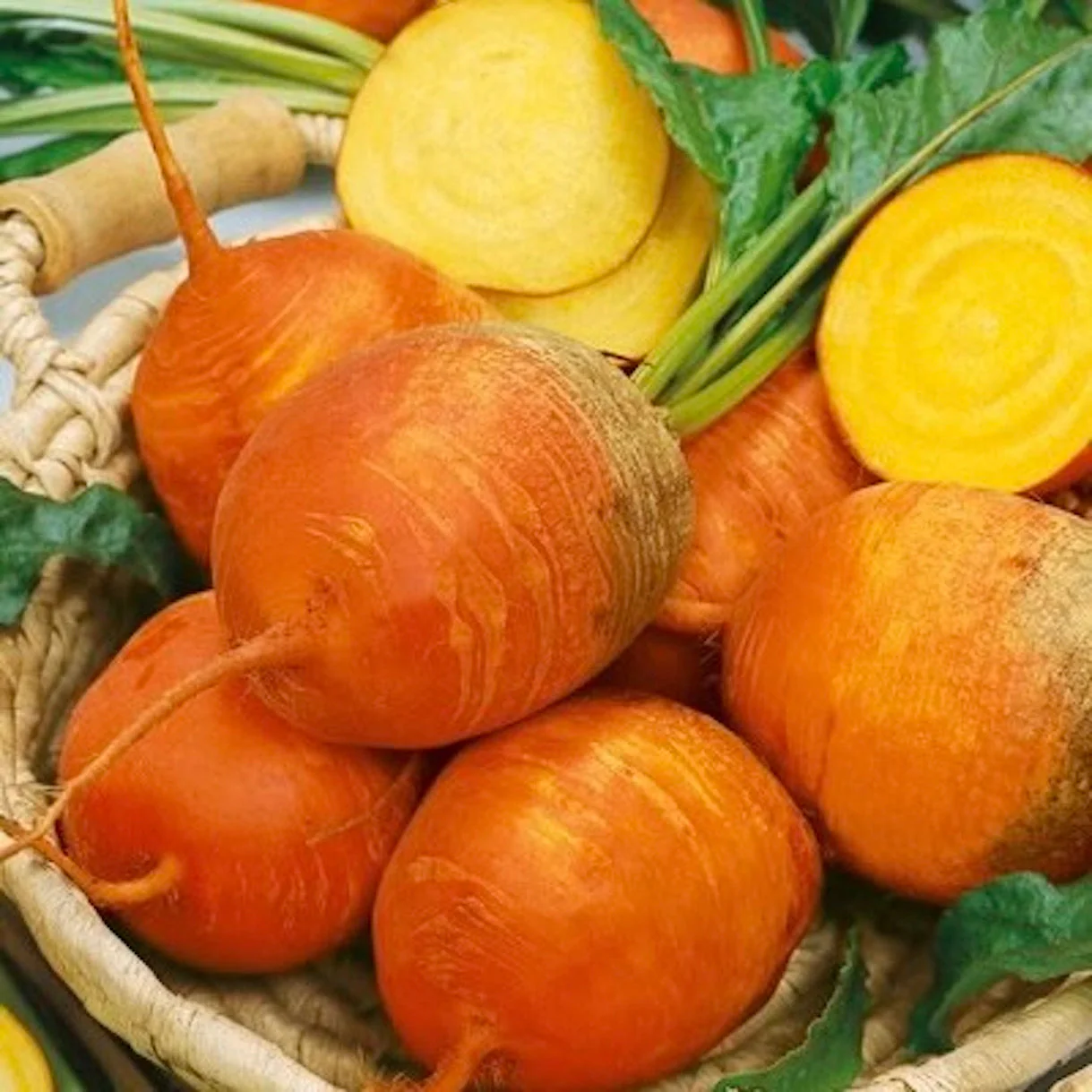 Golden Beetroot