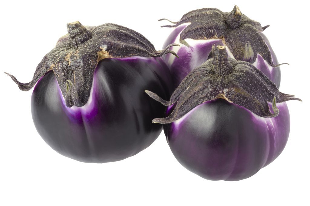 Round Purple Eggplant