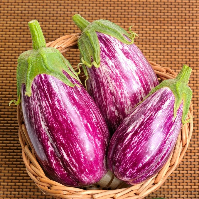 Pandora Striped Rose Eggplant