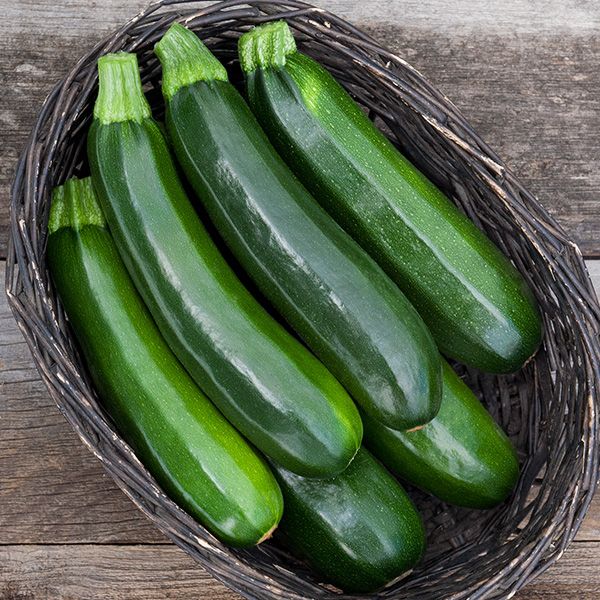 Dark Green Zucchini