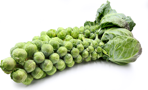 Green Brussels Sprouts 