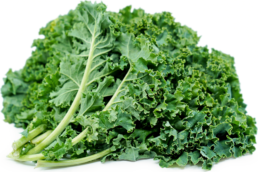 Fresh Kale