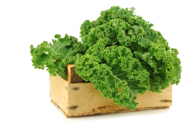 Fresh Kale