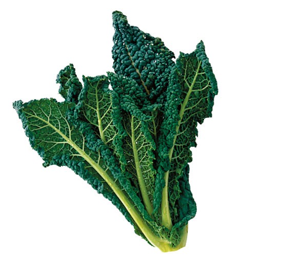 Black Tuscany Cabbage