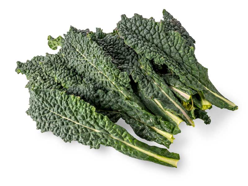 Black Tuscany Cabbage