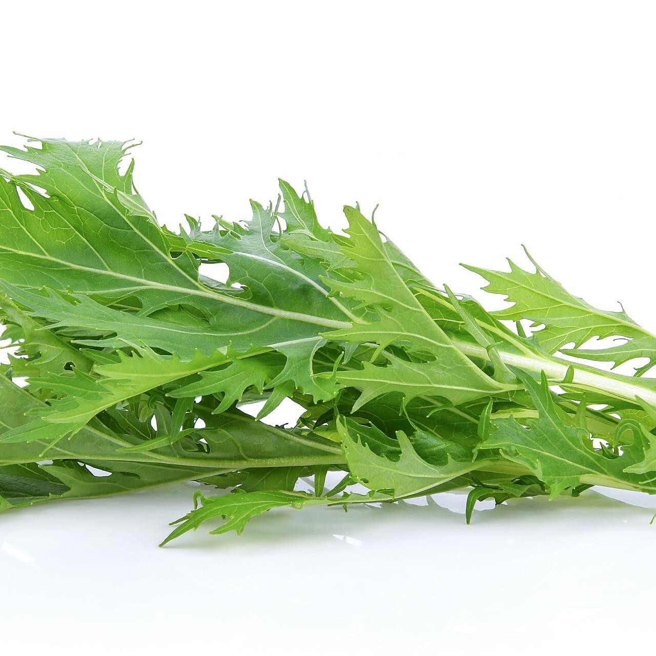 Fresh Mizuna Greens
