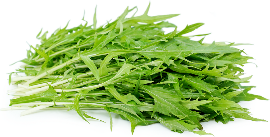 Fresh Mizuna Greens