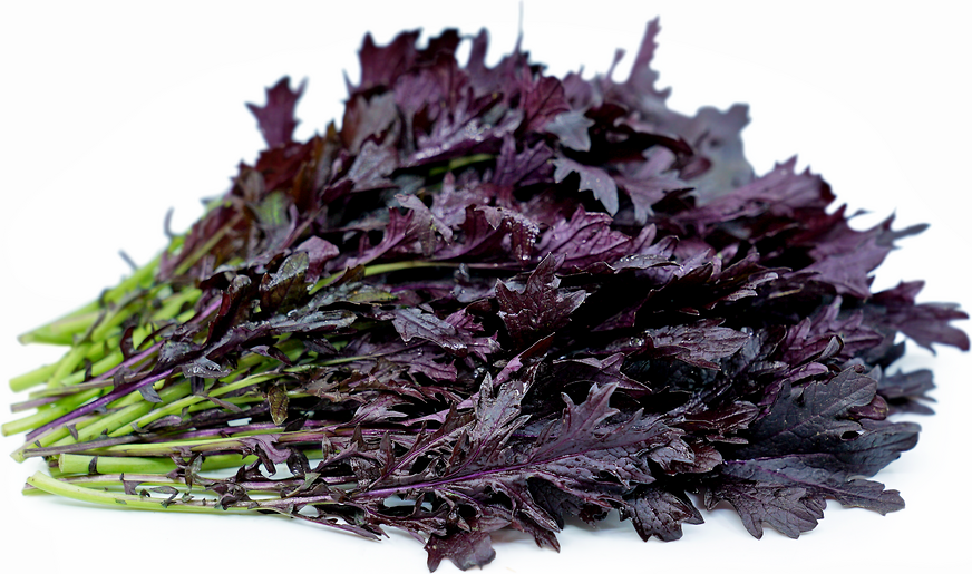Red Mizuna Greens