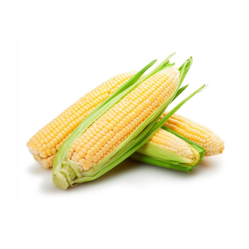 Sweet Yellow Corn