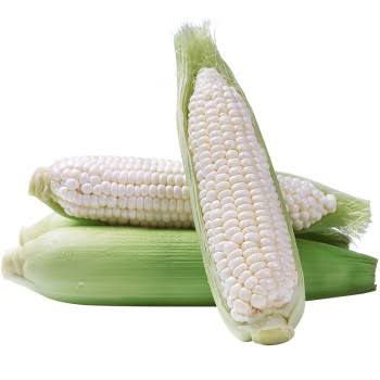 Sweet White Corn