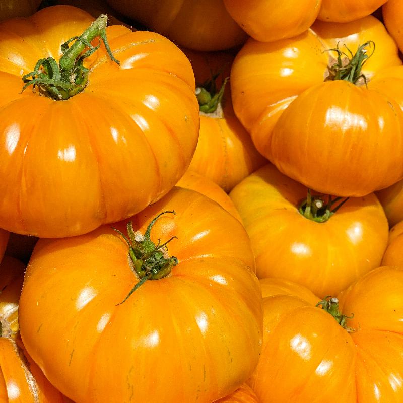Yellow Tomatoes