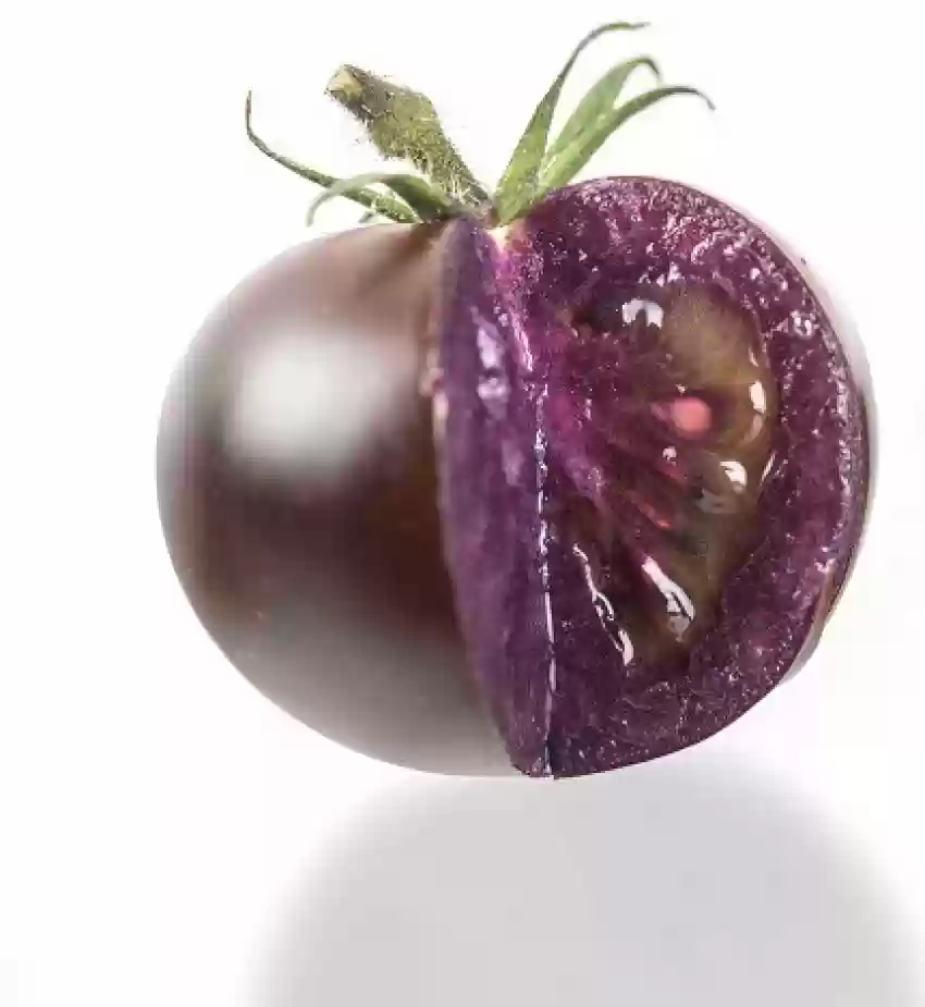 Blue Sunshine Tomato