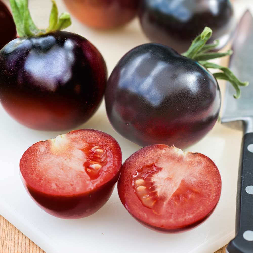 Indigo Rose Tomatoes