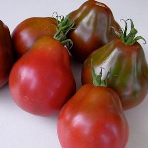 Black Truffle Tomatoes