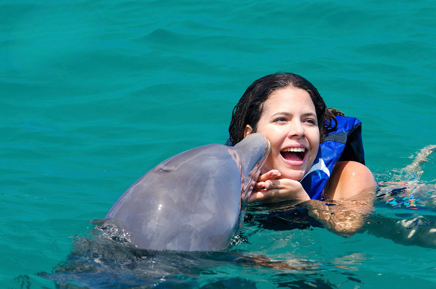 SWIMMING WITH DOLPHINS 