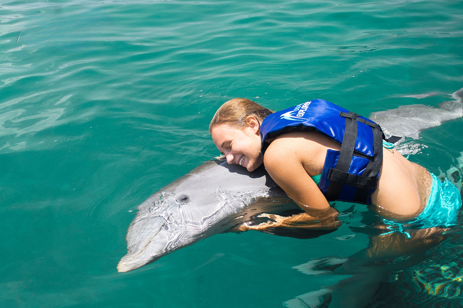 SWIMMING WITH DOLPHINS 
