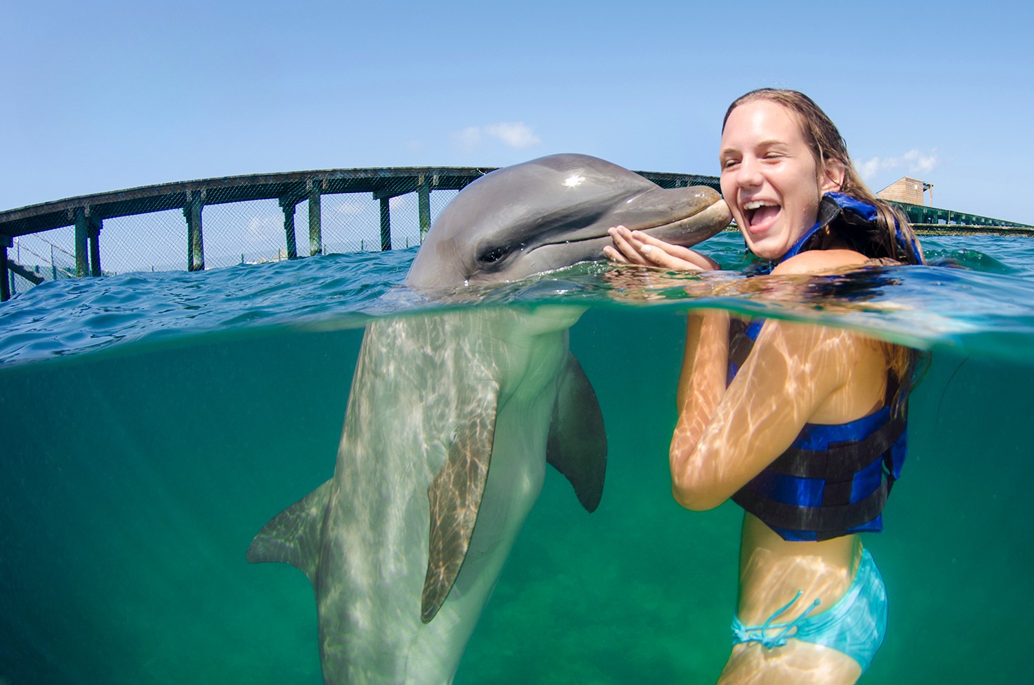 SWIMMING WITH DOLPHINS 