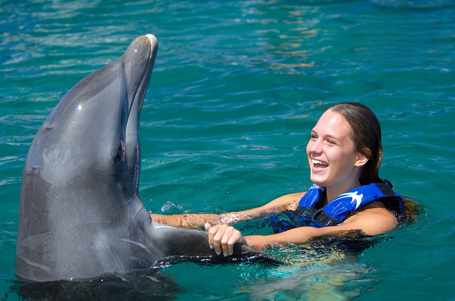 SWIMMING WITH DOLPHINS 