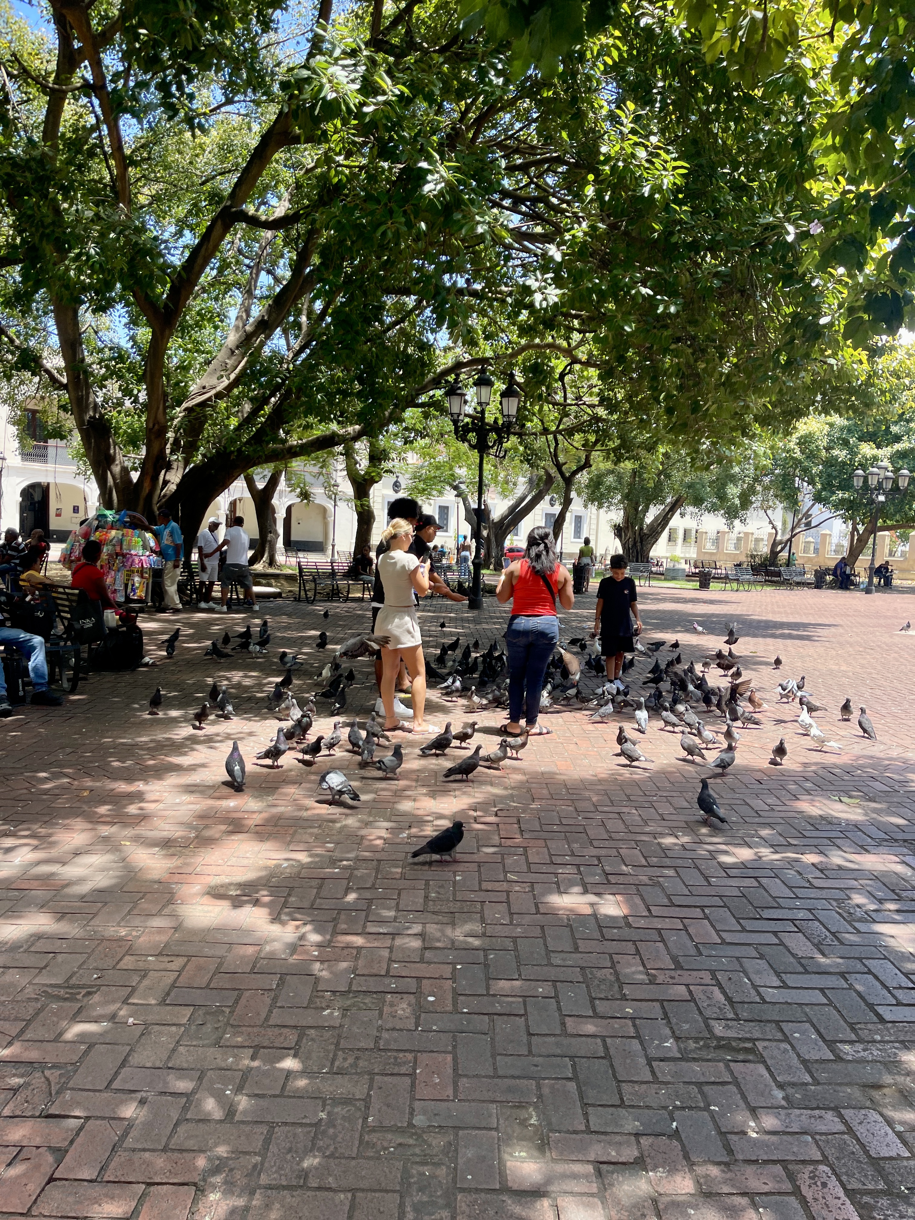 SANTO DOMINGO CITY TOURS 