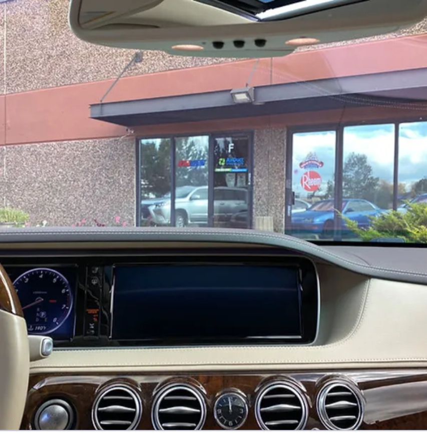 Red Sunset Chameleon