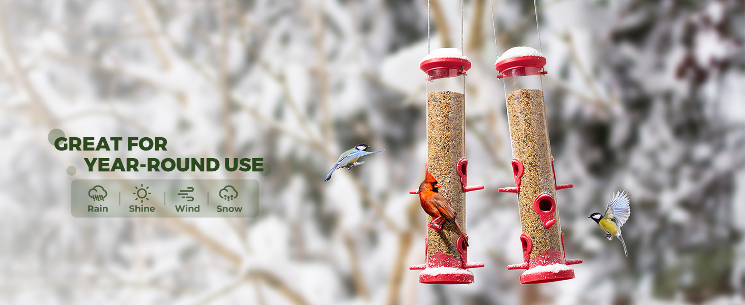  Bird Feeders