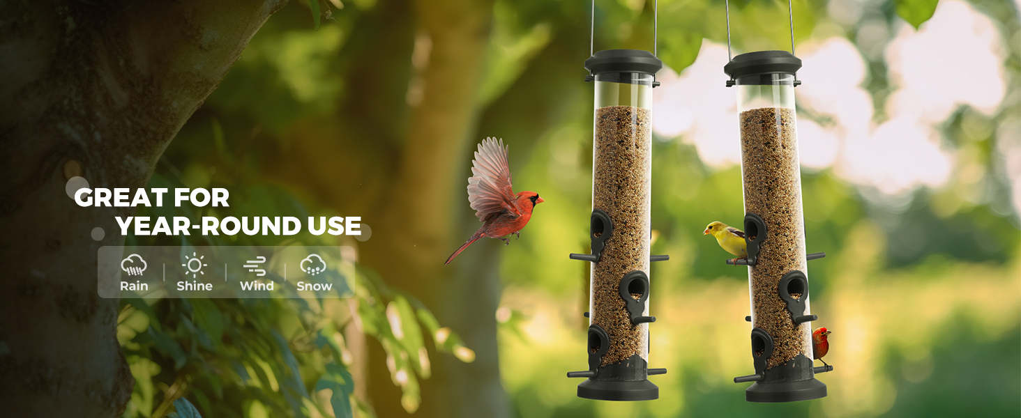  Bird Feeders