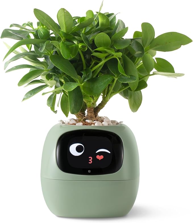  PLANTSIO Smart pet Planter Robot 