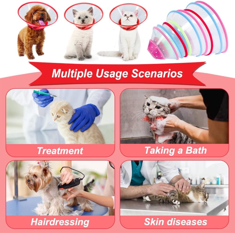 Vivifying Pet Cone for Small Dogs and Cats