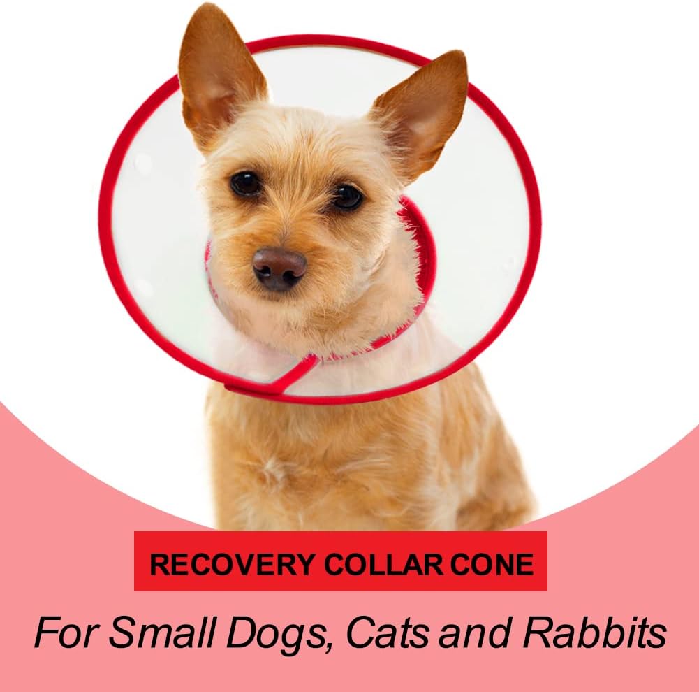 Vivifying Pet Cone for Small Dogs and Cats