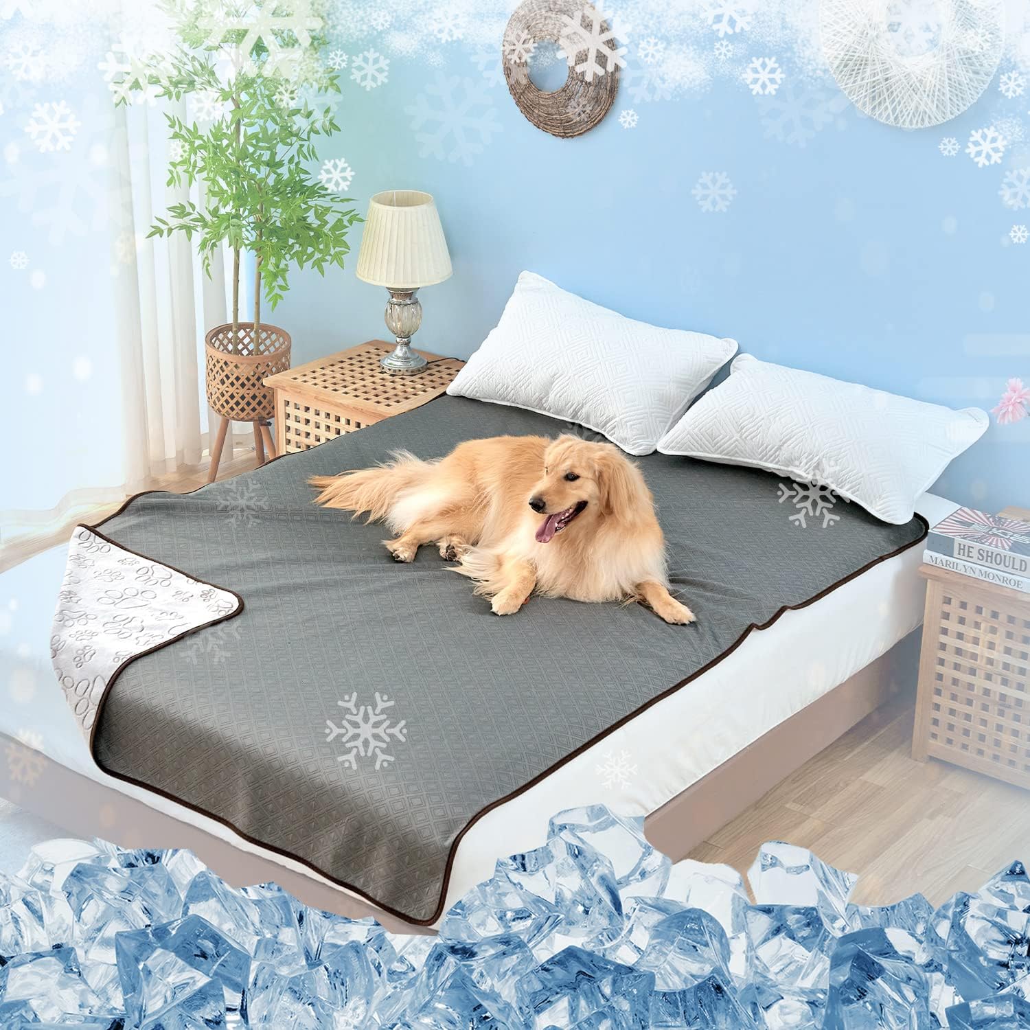 Qeils Cooling Dog Blanket for All Season