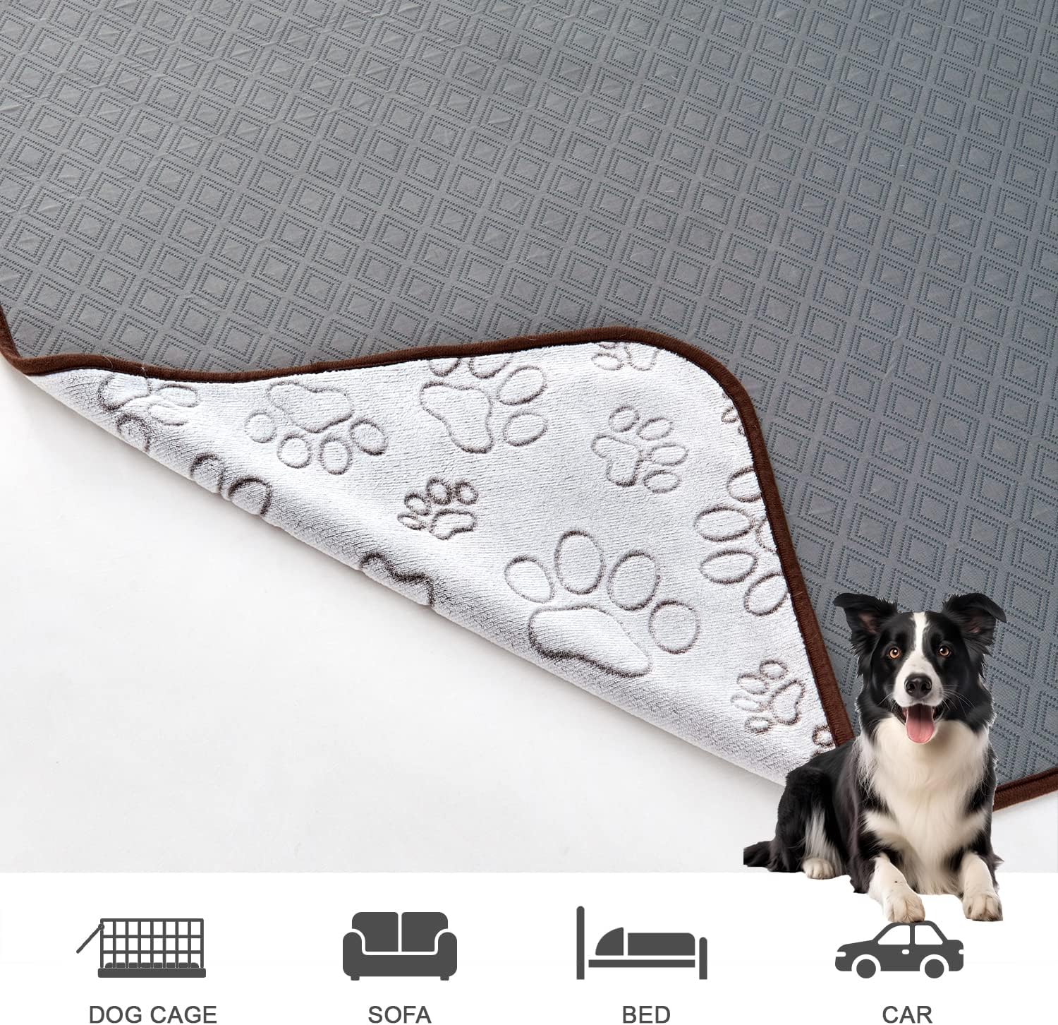 Qeils Cooling Dog Blanket for All Season