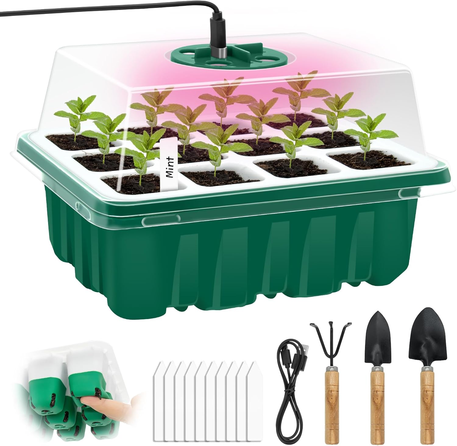 Starter Tray with Grow Light, 12 Flexible Pop-Out Cells