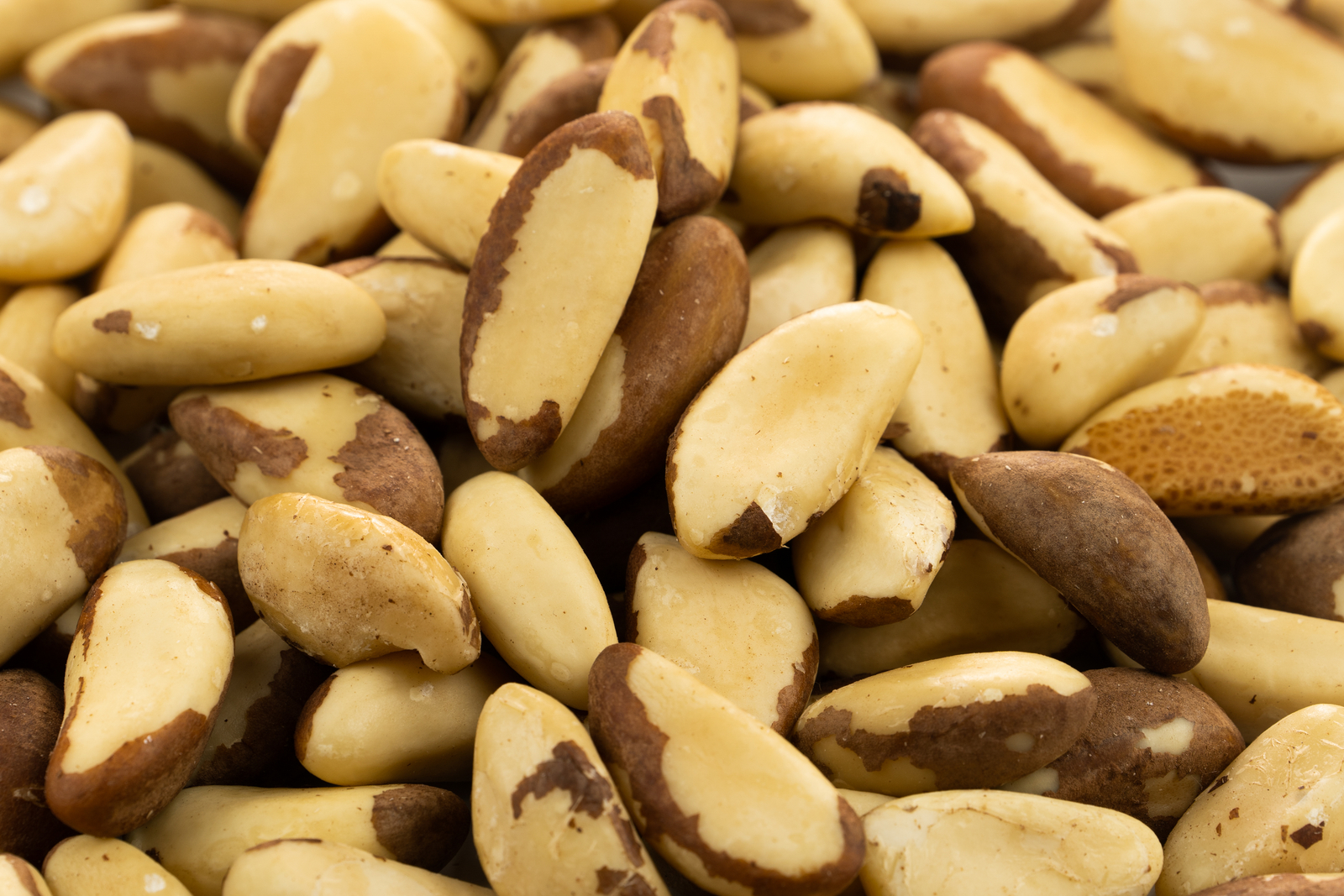 Bertoletijų riešutai (Braziliški)