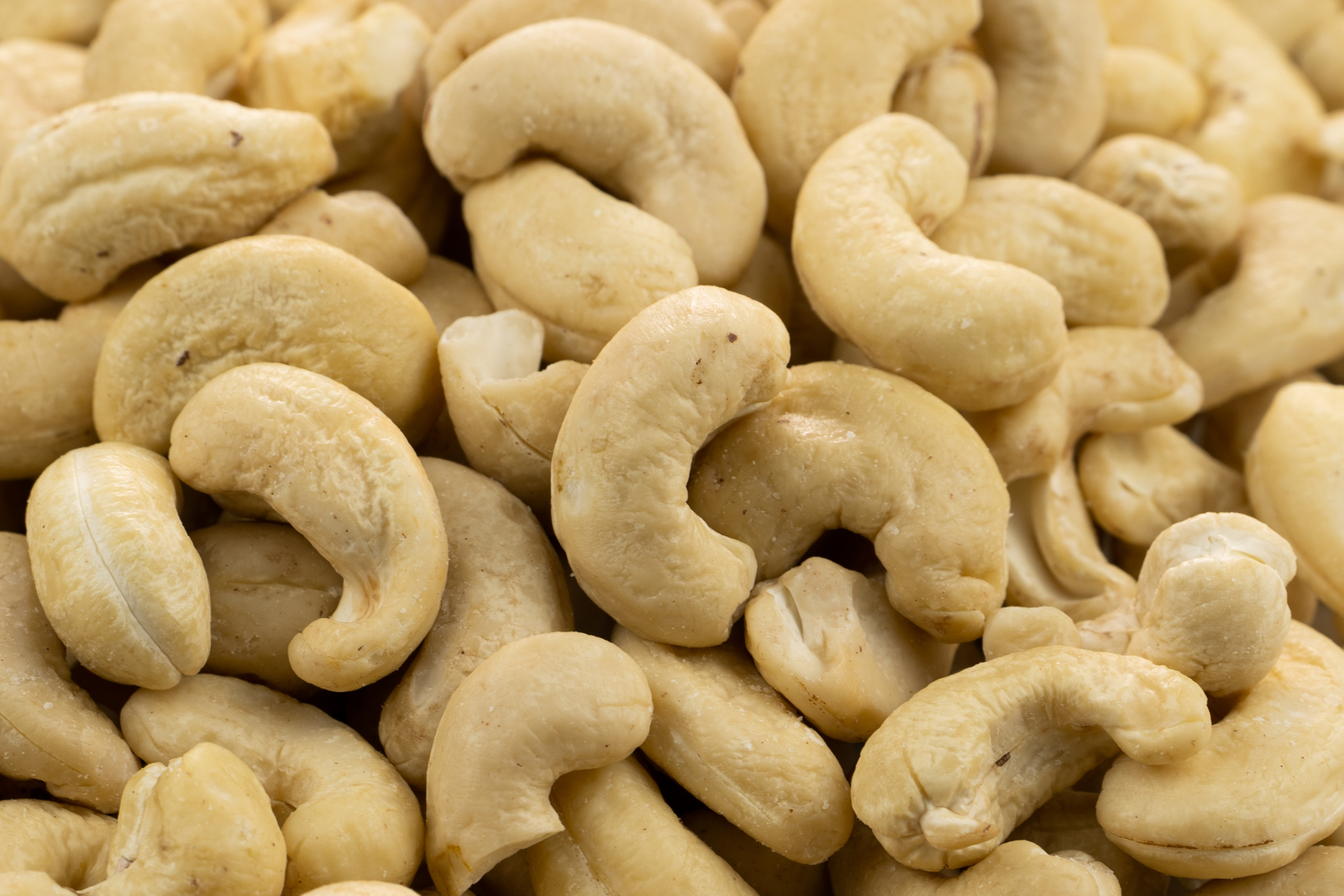 Didieji Anakardžiai