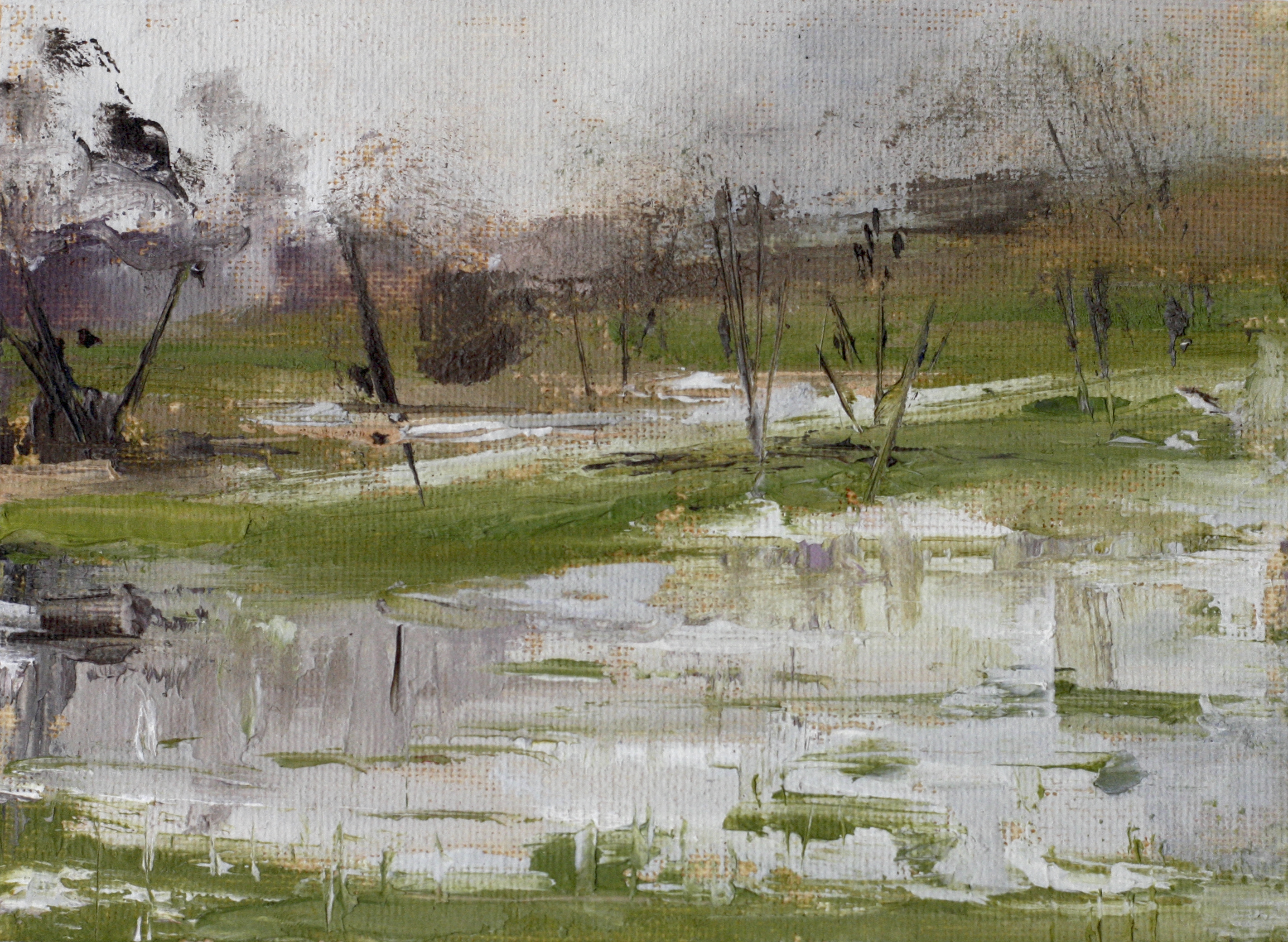 Flooded Fields / Print