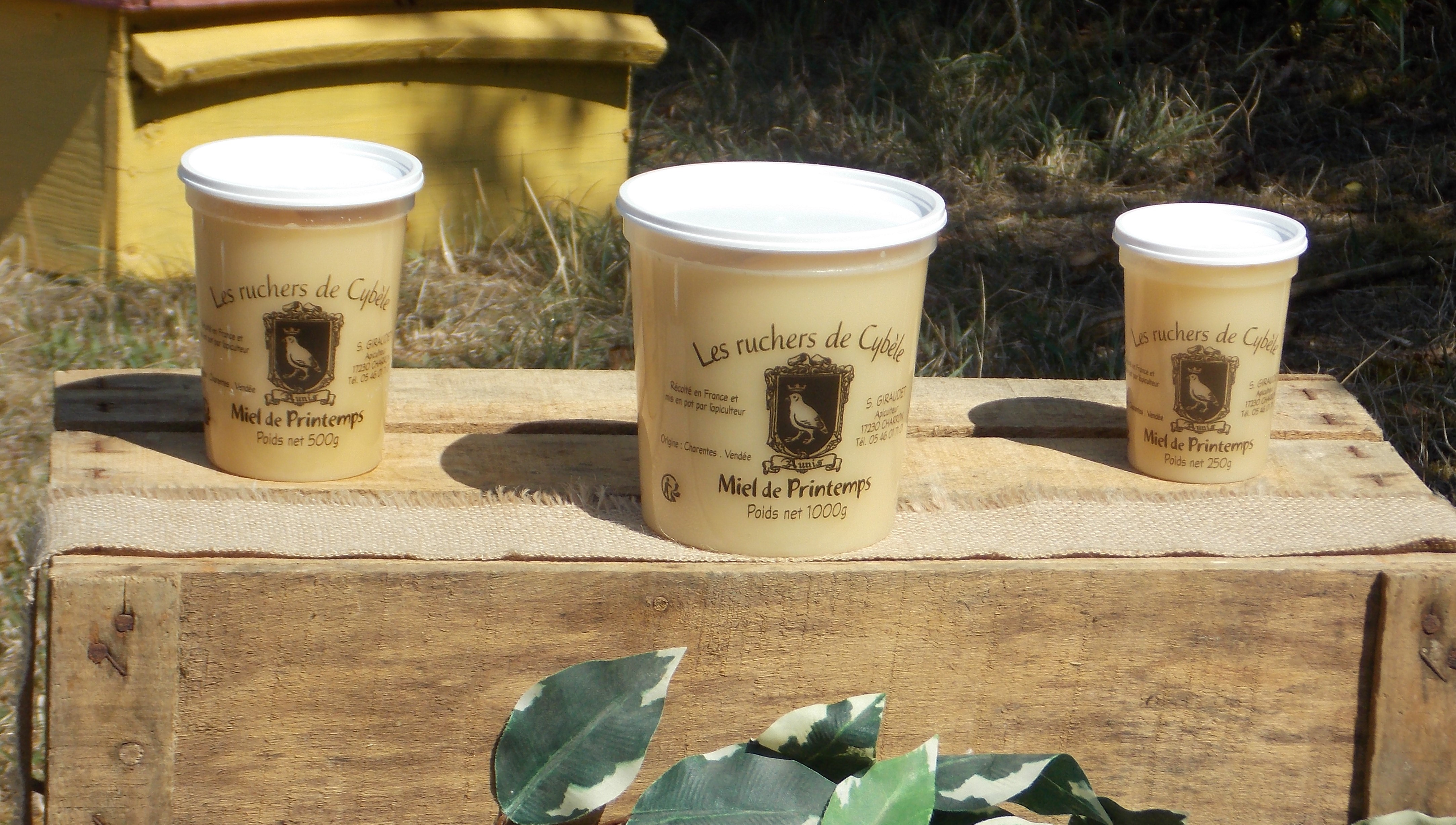 Miel de Printemps 1kg