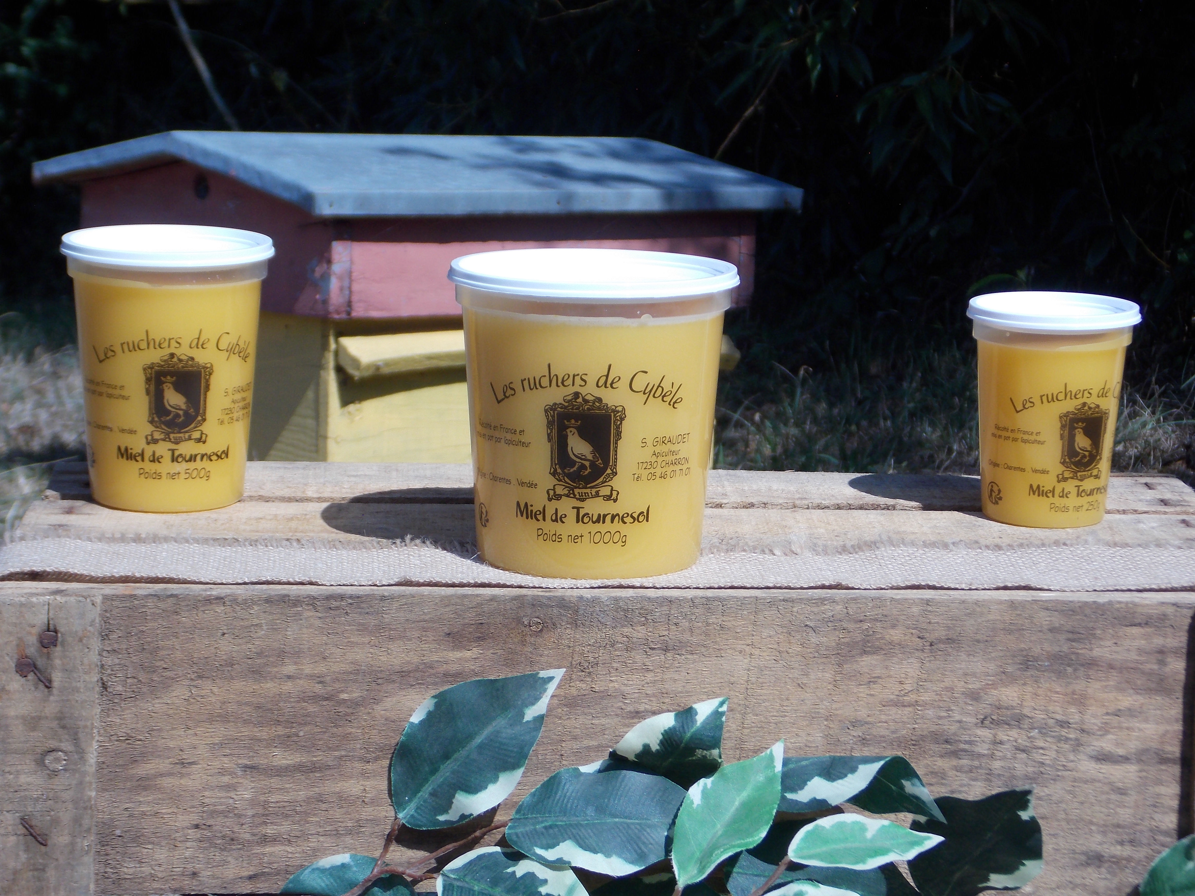 Miel de Tournesol 250g